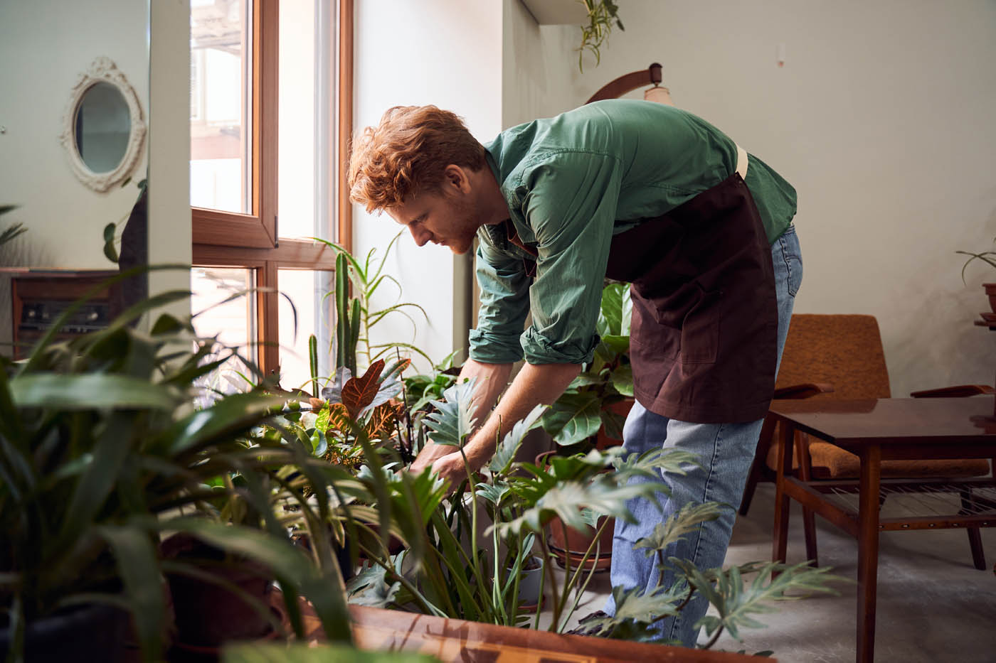 A person tending to their plants in a pest-free home - hire Hello Pest, a trusted roach exterminator in Westchester County, NY, to restore your peace of mind.