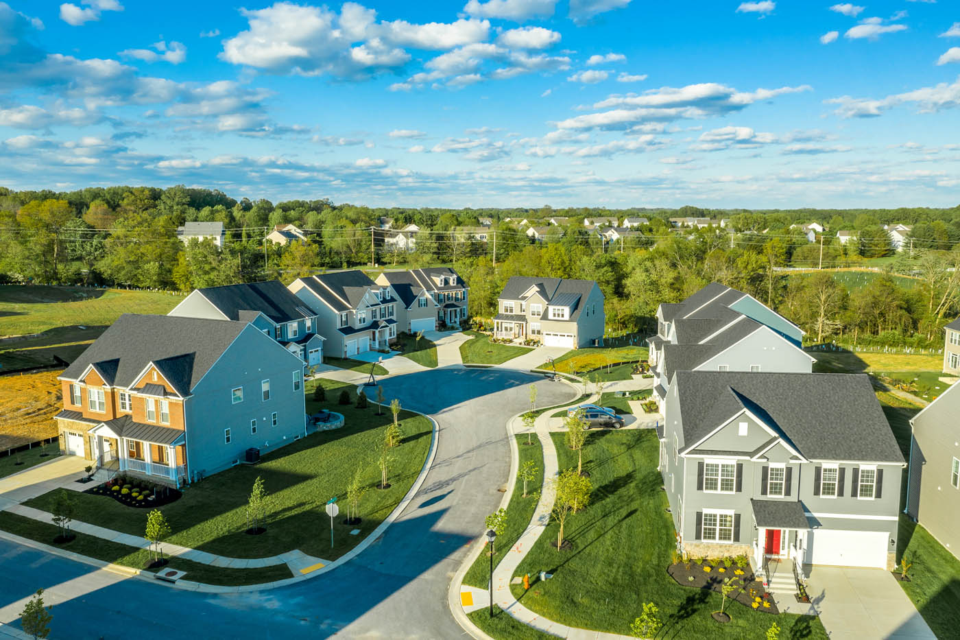 A long shot of a neighborhood in need of pest control from Hello Pest Control.