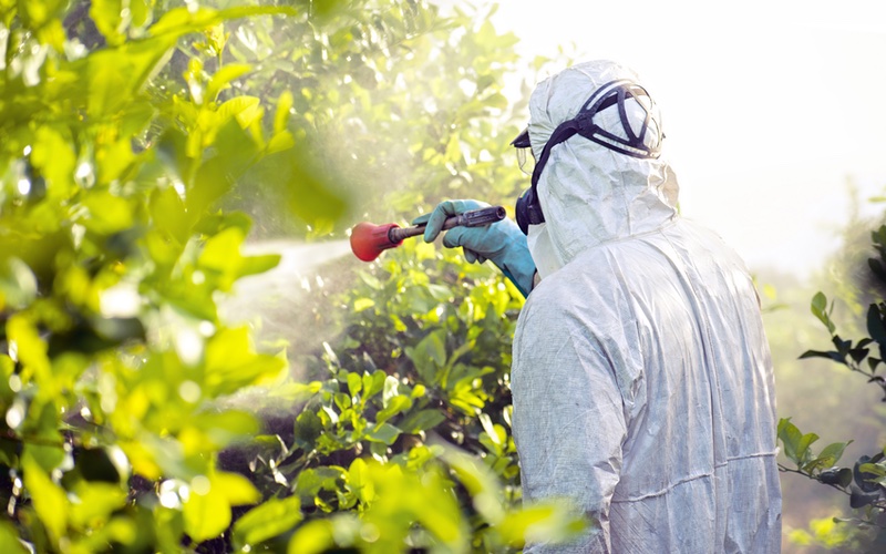 Hello Pest - A professional providing effective and safe pesticide control outdoors.